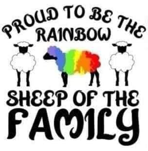 Pride Sheep family on Sale