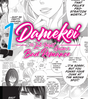 Damekoi: The Late-Night Guide to Bad Romance #1 For Sale