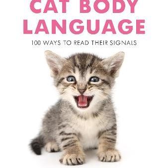 Cat Body Language : 100 Ways to Read Their Signals Discount