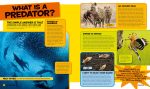 National Geographic Kids: Everything Predators: All the Photos, Facts, and Fun You Can Sink Your Teeth into Supply