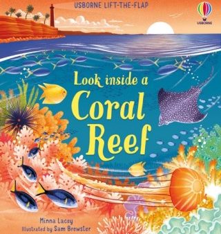 Usborne Lift The Flap: Look Inside A Coral Reef Discount