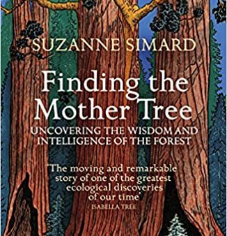 Finding the Mother Tree : Uncovering the Wisdom and Intelligence of the Forest Hot on Sale