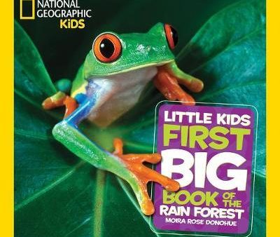 Little Kids First Big Book of The Rainforest Online Hot Sale