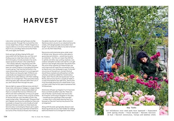 How to Grow the Flowers : A sustainable approach to enjoying flowers through the seasons For Sale