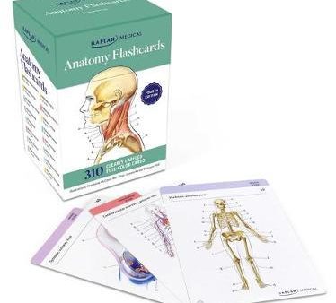 Anatomy Flashcards 4ed Cheap