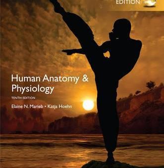 Human Anatomy Physiology Online Sale