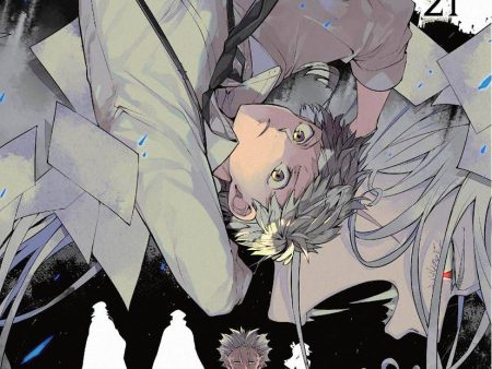 Bungo Stray Dogs #21 Online now