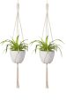 ecofynd Macrame Plant Hanger [Without Pot] | Rope Flower Pot Holder for Indoor Outdoor Balcony Gardening (M2, Pack of 2, 39 inches, Color- Ivory) For Cheap