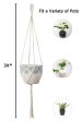 ecofynd Macrame Plant Hanger [Without Pot] | Rope Flower Pot Holder for Indoor Outdoor Balcony Gardening (M2, Pack of 2, 39 inches, Color- Ivory) For Cheap